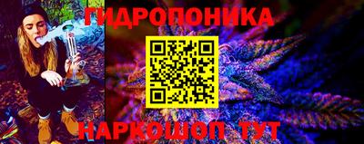 индика Кинель