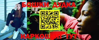 индика Кинель