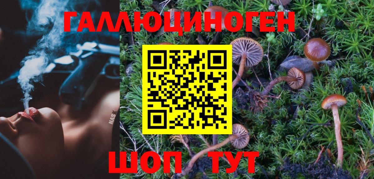 Галлюциногенные грибы Psilocybe  купить закладку  Псилоцибиновые грибы GOLDEN TEACHER  Геленджик  Вход с VPN 